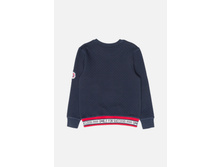 20110100087   Europro        -     (      ).jpg