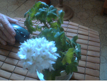 ���������� Eras Tindra