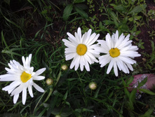 �������)