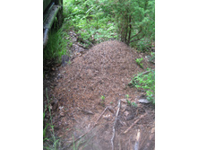 IMG 0073.JPG