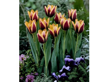 ������� ����� ������ ���-��� ���. ����..jpg