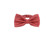 145 ���. - �������