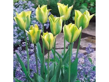 ������� ������� ������� ���-���� 160,3 ���. ��. (� �������� 7 ��.). ������ �� 40 ��. ������� ������ �� 12 ��..jpg