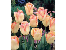 ������� ������� ������� ���-��� �-�� 125,3 ���. ��. (� �������� 7 ��.). ������ �� 70 ��. ������� ������ �� 10 ��..jpeg