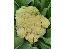 IMG 20170708 103400.jpg