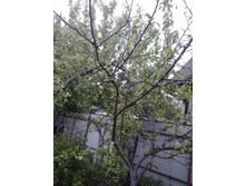 2017-06-03 18.45.30.jpg