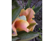 2017-05-22 18.06.00.jpg