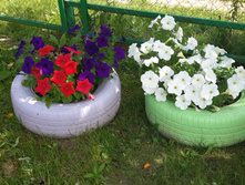 20170729 122934.jpg