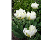 �������� �������� ������ ���-��� ����-���� ���. ����2..jpg