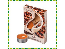 �� ����� ������ 6��, � �����.������, 12��, ������ �������� �������: ��508441