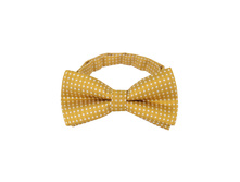 125 ���. - ����� �����