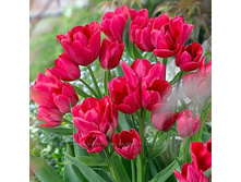 ������� �������������� ��-��� ��-�� 1���. ����..jpg