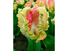 ������� ���������� ���-��� ���-��� ���. ����.jpg