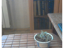 �������������� ������������