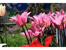 �������� ������������ ��-�� 97,3 ���. ��. (� �������� 7 ��.). ������ �� 55 ��. ������� ������ �� 10 ��. .jpg