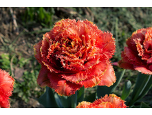 �������� �������� ������ ���-���� ��-� ���. ����2..jpg