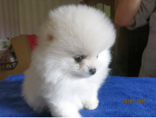 ���.����� 012.JPG