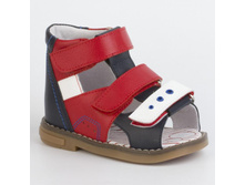 14*141.������ ���� ORTO.jpg 1430 �.