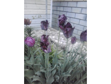 2016-05-08 19.57.39.jpg