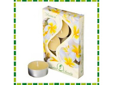 �� ����� ������ 6��, � ������.������, 12��, ������ ������ �������: ��508453