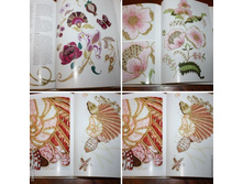 ������� �����. ��������� ������� � ����������� ����������,2.jpg