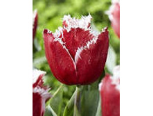 �������� ����������� �-�� ��-��� 125,3 ���. ��. (� �������� 7 ��.). ������ �� 45 ��. ������� ������ �� 12 ��.jpg