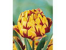 �������� �������� ������� ���-��� ���-�� 111,3 ���. ��. (� �������� 7 ��.). ������ �� 50 ��. ������� ������ �� 10 ��..jpg