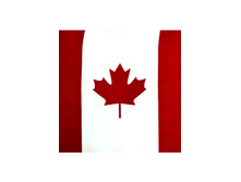 49,5 ���. - ���� ������ 55�55 ��