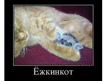 ����� ���!