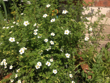 �������� ����� �������