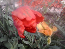 2016-05-04 18.09.02.jpg