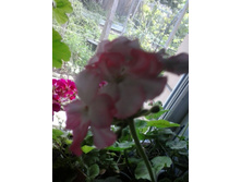 2016-06-02 14.02.53.jpg