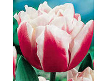 �������� �������� ������� ���-��� 125,3 ���. ��. (� �������� 7 ��.). ������ �� 50 ��. ������� ������ �� 10 ��..jpg