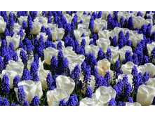 �������� ��������� ������� ���-��� ����-����� � ��������� � ������� ���. ����.jpg