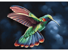 ����������� ������ 38�27 Ag 3435.jpg