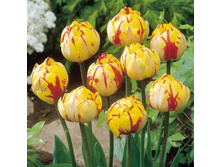 �������� �������� ������� ���-��� ���-�� ���. ����3..jpg