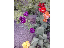 2017-05-22 18.08.45.jpg