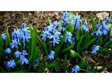 .�������� ���. ����2.jpg