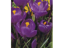 ��-��-�� ��-���� ���-��� ���-��-���-����-��� 68 ���. ��. (� �������� 10 ��.). ������ �� 15 ��. ������� ������ 4 ��..jpg