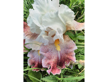 IMG 20170630 183520.jpg