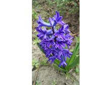 IMG 20170506 093041.jpg