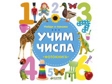 ����� � ������. ���������. ���� �����