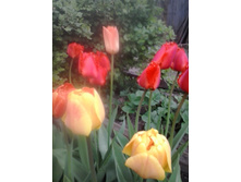 2016-05-04 18.06.46.jpg