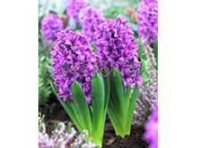 ��-���-�� ��-�� ��-��-��. 85,5 ���. ��. (� �������� 3 �.). ������ �� 25 ��. ������� ������ 4 ��..jpg