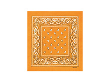 60 ���. - Paisley Cotton 55�55 ��