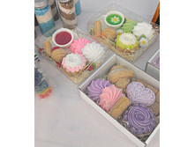 450�/�����