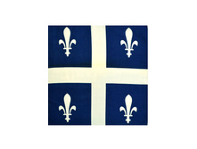 49,5 ���. - ���� ������� 55�55 ��