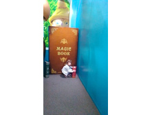 P 20170520 144553.jpg