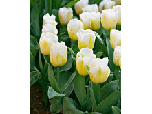 ������� ����� ������ ���-���� ���-��� ���. ����..jpg