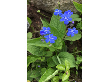 �������� ��������.jpg